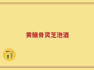 黄鳝骨灵芝泡酒