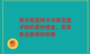 孢子甘蓝种子与灵芝孢子粉的意外结合，竟带来这些奇妙效果