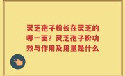 灵芝孢子粉长在灵芝的哪一面？灵芝孢子粉功效与作用及用量是什么
