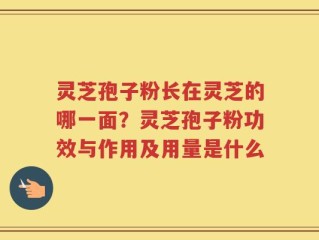 灵芝孢子粉长在灵芝的哪一面？灵芝孢子粉功效与作用及用量是什么
