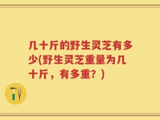 几十斤的野生灵芝有多少(野生灵芝重量为几十斤，有多重？)