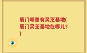厦门哪里有灵芝基地(厦门灵芝基地在哪儿？)