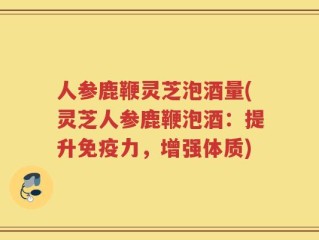 人参鹿鞭灵芝泡酒量(灵芝人参鹿鞭泡酒：提升免疫力，增强体质)