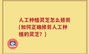人工种植灵芝怎么修剪(如何正确修剪人工种植的灵芝？)