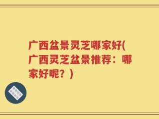 广西盆景灵芝哪家好(广西灵芝盆景推荐：哪家好呢？)