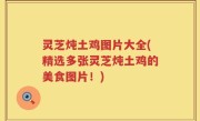 灵芝炖土鸡图片大全(精选多张灵芝炖土鸡的美食图片！)