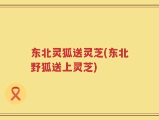 东北灵狐送灵芝(东北野狐送上灵芝)