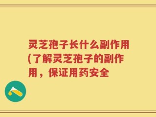 灵芝孢子长什么副作用(了解灵芝孢子的副作用，保证用药安全