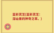 蓝彩灵芝(蓝彩灵芝：深山里的神奇之草。)