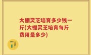 大棚灵芝培育多少钱一斤(大棚灵芝培育每斤费用是多少)