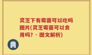 灵芝下有霉菌可以吃吗图片(灵芝霉菌可以食用吗？- 图文解析)