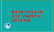 桑黄加灵芝的药用功效是什么(了解桑黄加灵芝的药用价值)
