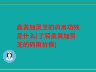 桑黄加灵芝的药用功效是什么(了解桑黄加灵芝的药用价值)