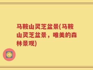 马鞍山灵芝盆景(马鞍山灵芝盆景，唯美的森林景观)
