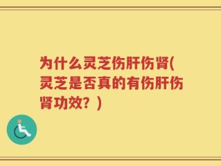 为什么灵芝伤肝伤肾(灵芝是否真的有伤肝伤肾功效？)