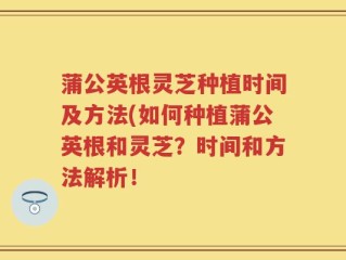 蒲公英根灵芝种植时间及方法(如何种植蒲公英根和灵芝？时间和方法解析！