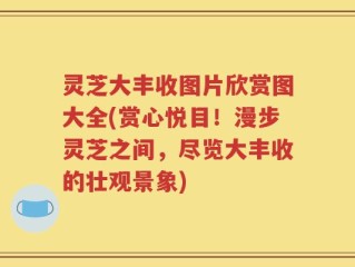 灵芝大丰收图片欣赏图大全(赏心悦目！漫步灵芝之间，尽览大丰收的壮观景象)