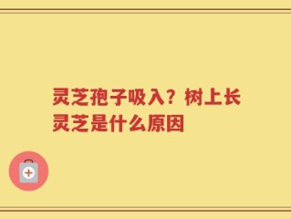 灵芝孢子吸入？树上长灵芝是什么原因