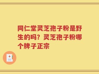 同仁堂灵芝孢子粉是野生的吗？灵芝孢子粉哪个牌子正宗