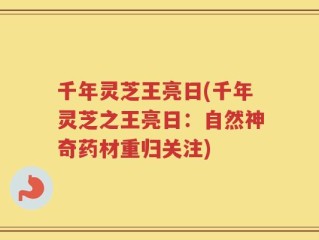 千年灵芝王亮日(千年灵芝之王亮日：自然神奇药材重归关注)