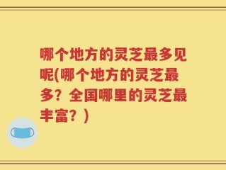 哪个地方的灵芝最多见呢(哪个地方的灵芝最多？全国哪里的灵芝最丰富？)