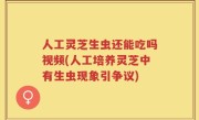 人工灵芝生虫还能吃吗视频(人工培养灵芝中有生虫现象引争议)