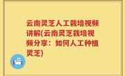 云南灵芝人工栽培视频讲解(云南灵芝栽培视频分享：如何人工种植灵芝)