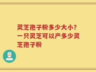 灵芝孢子粉多少大小？一只灵芝可以产多少灵芝孢子粉