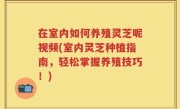 在室内如何养殖灵芝呢视频(室内灵芝种植指南，轻松掌握养殖技巧！)