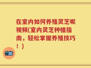 在室内如何养殖灵芝呢视频(室内灵芝种植指南，轻松掌握养殖技巧！)