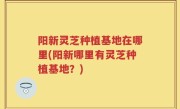 阳新灵芝种植基地在哪里(阳新哪里有灵芝种植基地？)