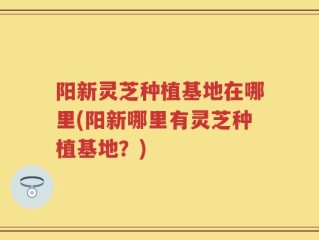 阳新灵芝种植基地在哪里(阳新哪里有灵芝种植基地？)