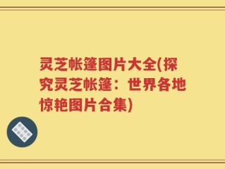灵芝帐篷图片大全(探究灵芝帐篷：世界各地惊艳图片合集)