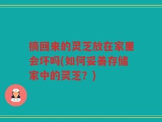 摘回来的灵芝放在家里会坏吗(如何妥善存储家中的灵芝？)