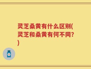 灵芝桑黄有什么区别(灵芝和桑黄有何不同？)