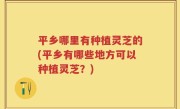 平乡哪里有种植灵芝的(平乡有哪些地方可以种植灵芝？)