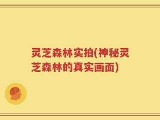灵芝森林实拍(神秘灵芝森林的真实画面)
