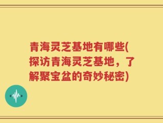 青海灵芝基地有哪些(探访青海灵芝基地，了解聚宝盆的奇妙秘密)