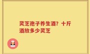 灵芝孢子养生酒？十斤酒放多少灵芝