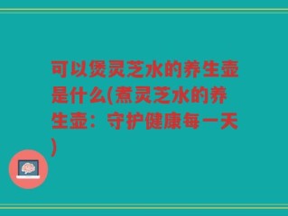 可以煲灵芝水的养生壶是什么(煮灵芝水的养生壶：守护健康每一天)
