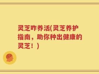 灵芝咋养活(灵芝养护指南，助你种出健康的灵芝！)
