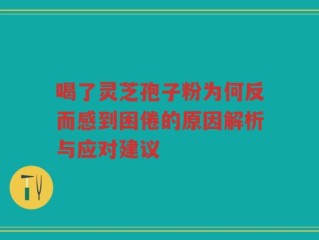 喝了灵芝孢子粉为何反而感到困倦的原因解析与应对建议