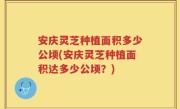 安庆灵芝种植面积多少公顷(安庆灵芝种植面积达多少公顷？)