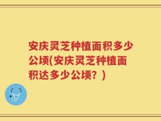 安庆灵芝种植面积多少公顷(安庆灵芝种植面积达多少公顷？)