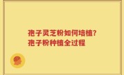 孢子灵芝粉如何培植？孢子粉种植全过程