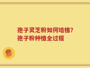 孢子灵芝粉如何培植？孢子粉种植全过程