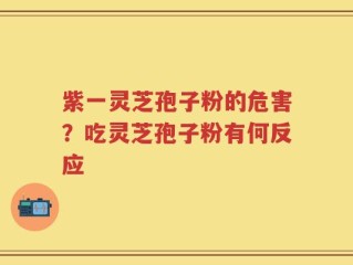 紫一灵芝孢子粉的危害？吃灵芝孢子粉有何反应