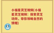 小福星灵芝视频(小福星灵芝视频：探索灵芝功效，带你领略自然的馈赠)