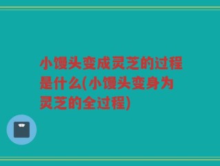小馒头变成灵芝的过程是什么(小馒头变身为灵芝的全过程)