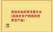 荔枝木出的灵芝是什么(荔枝木生产的纯天然灵芝产品)